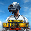 PUBG()